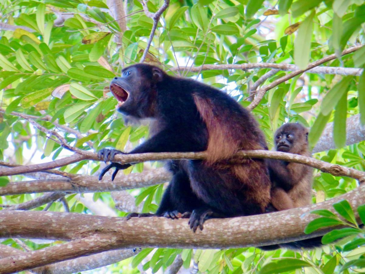 Villa Ometepe Mérida Eksteriør billede